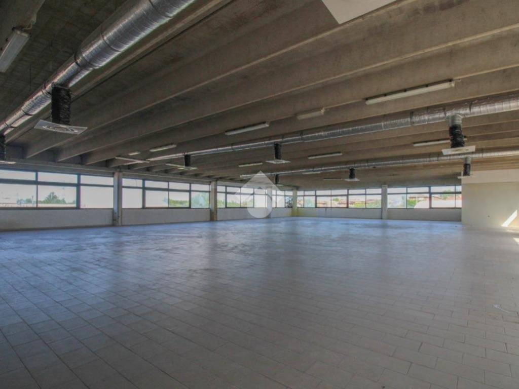 negozio in vendita a Sassuolo