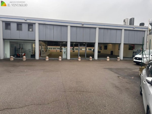 esavano in vendita a Sassuolo