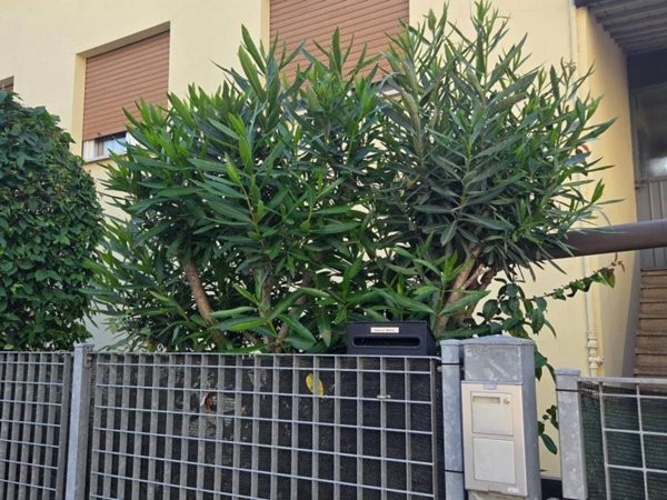 appartamento in vendita a Sassuolo in zona Centro Storico / San Giorgio