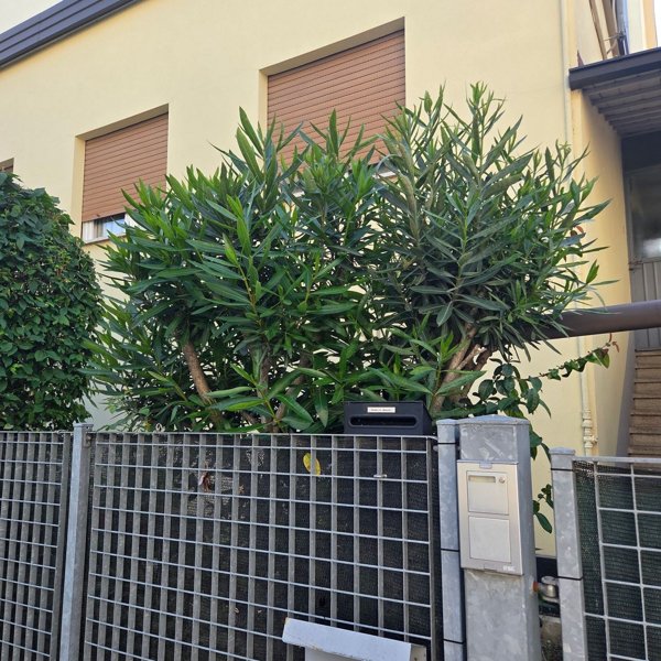 appartamento in vendita a Sassuolo in zona Centro Storico / San Giorgio