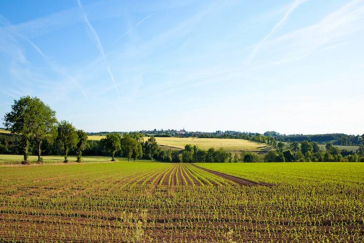 terreno agricolo in vendita a Sassuolo in zona Montegibbio
