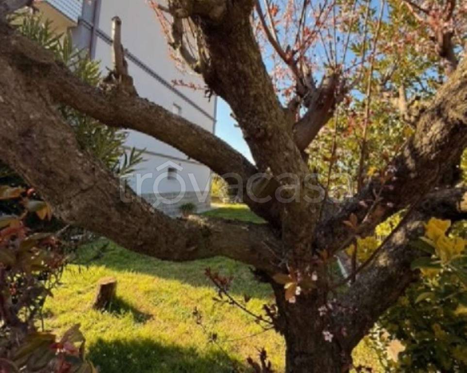 casa indipendente in vendita a Sassuolo