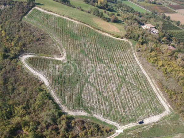 terreno agricolo in vendita a Savignano sul Panaro in zona Garofano