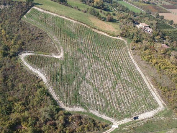 terreno agricolo in vendita a Savignano sul Panaro in zona Garofano