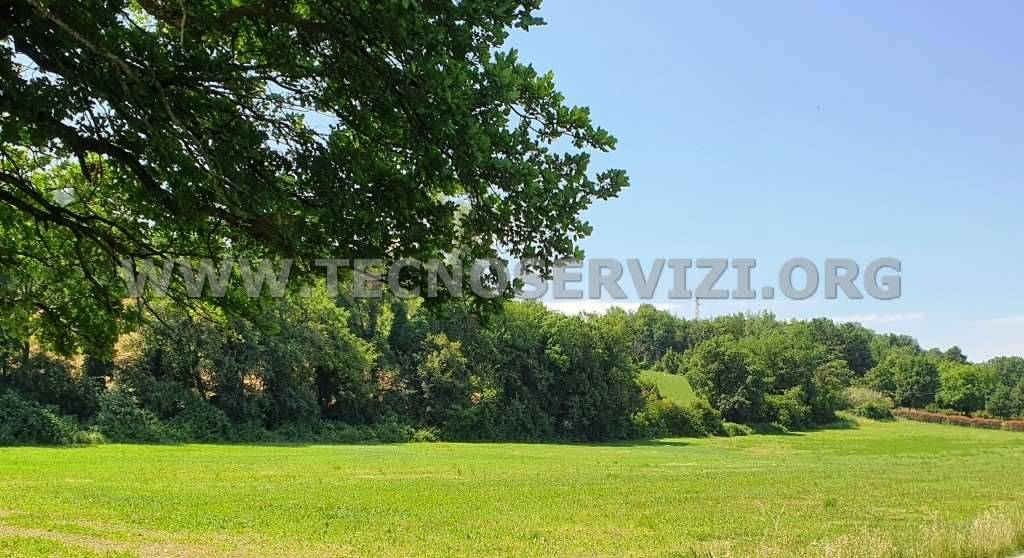 ufficio in vendita a Savignano sul Panaro in zona Garofano