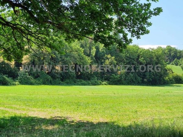 terreno agricolo in vendita a Savignano sul Panaro in zona Garofano