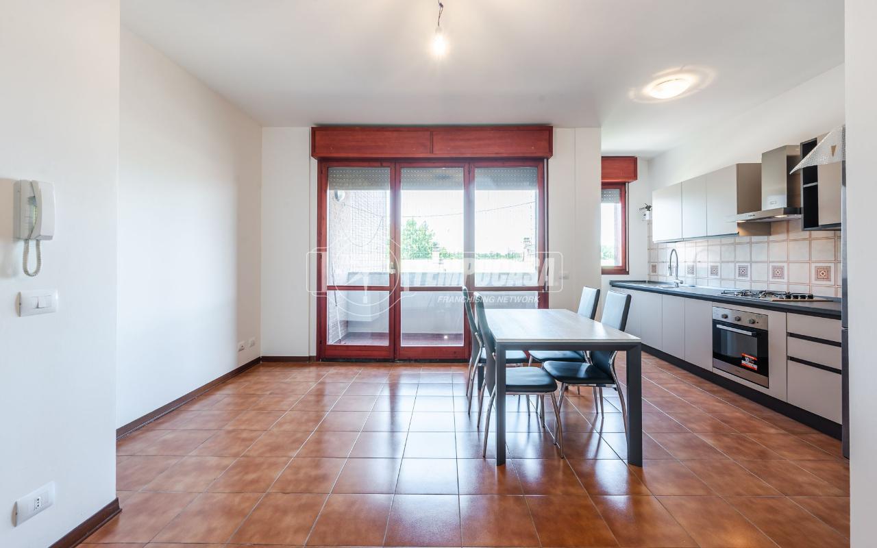 appartamento in vendita a Savignano sul Panaro