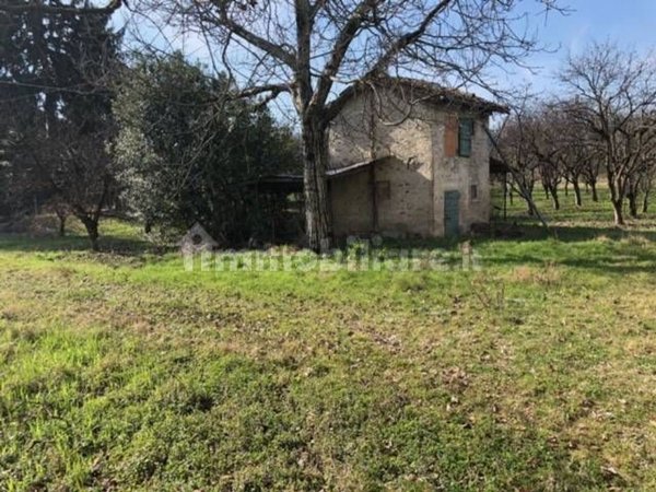 esavano in vendita a Savignano sul Panaro in zona Formica