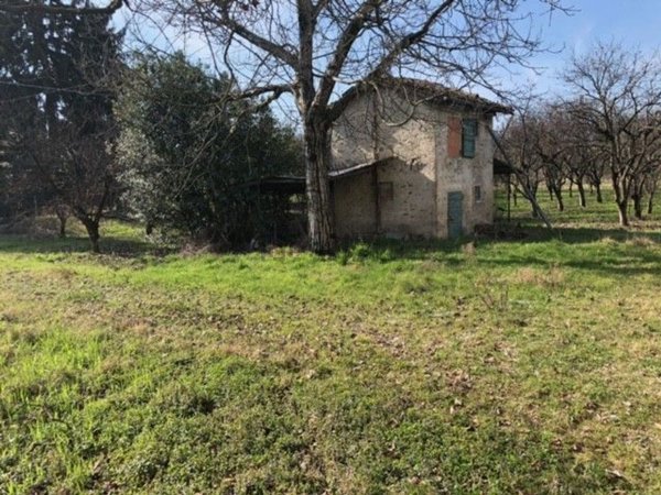 esavano in vendita a Savignano sul Panaro in zona Formica