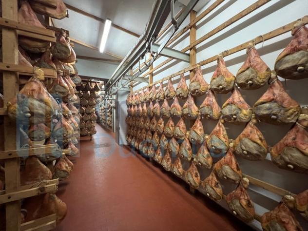 negozio in vendita a Savignano sul Panaro