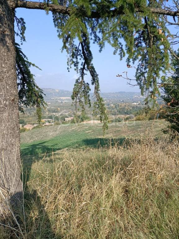 casa indipendente in vendita a Savignano sul Panaro in zona Garofano