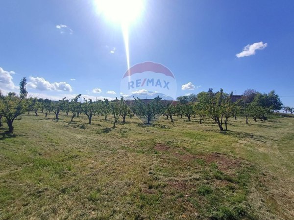 terreno agricolo in vendita a Savignano sul Panaro