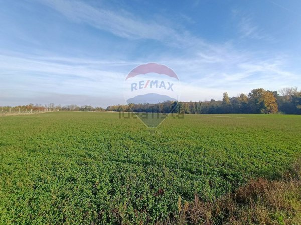 terreno agricolo in vendita a Savignano sul Panaro