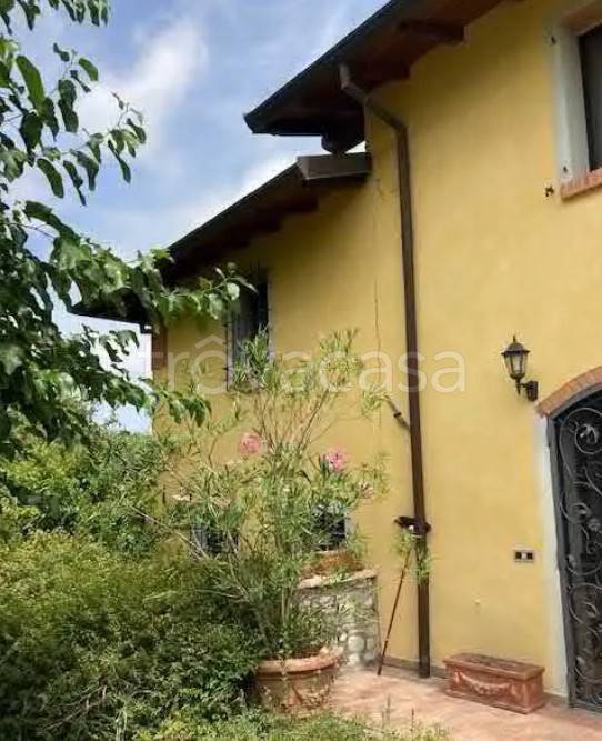 terreno agricolo in vendita a Savignano sul Panaro