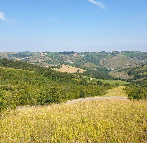 terreno agricolo in vendita a Serramazzoni in zona Riccò