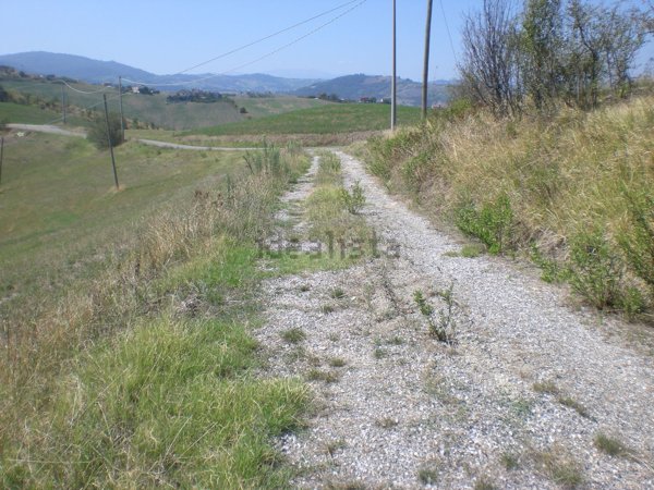 casa indipendente in vendita a Serramazzoni