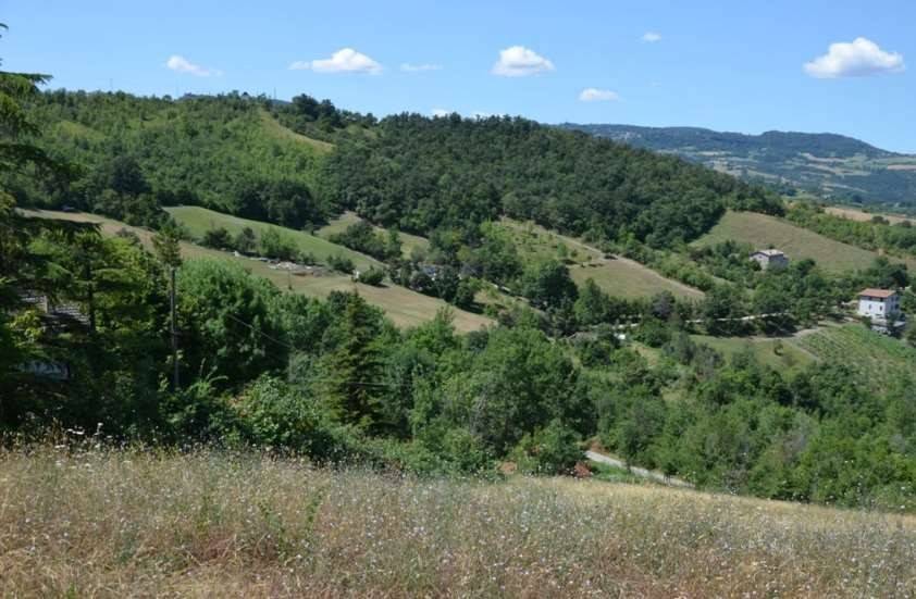 terreno agricolo in vendita a Serramazzoni