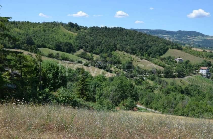 terreno agricolo in vendita a Serramazzoni