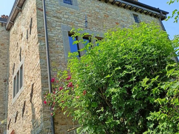 esavano in vendita a Serramazzoni