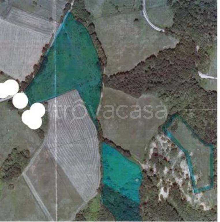 terreno agricolo in vendita a Serramazzoni