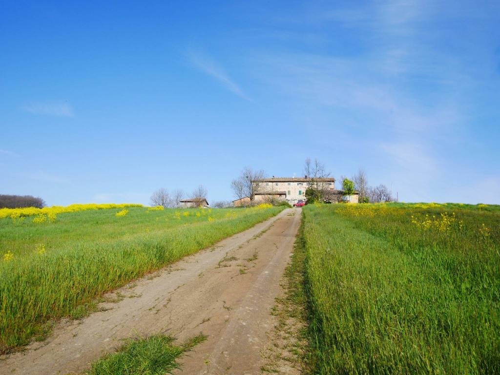 casa indipendente in vendita a Serramazzoni