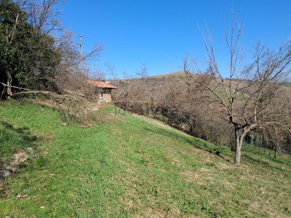 casa indipendente in vendita a Serramazzoni in zona Riccò
