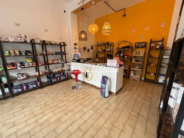 negozio in vendita a Serramazzoni