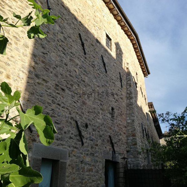 pentavano in vendita a Serramazzoni