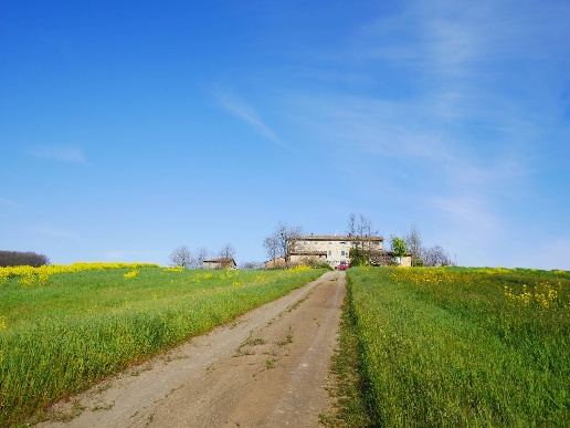 casa indipendente in vendita a Serramazzoni