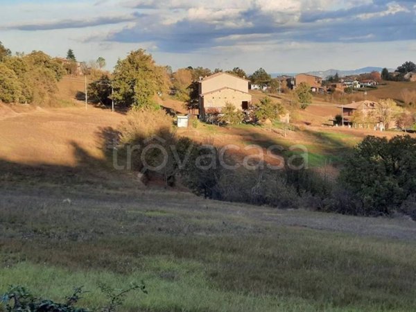 casa indipendente in vendita a Serramazzoni in zona San Dalmazio