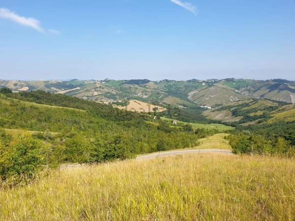 terreno agricolo in vendita a Serramazzoni in zona Riccò
