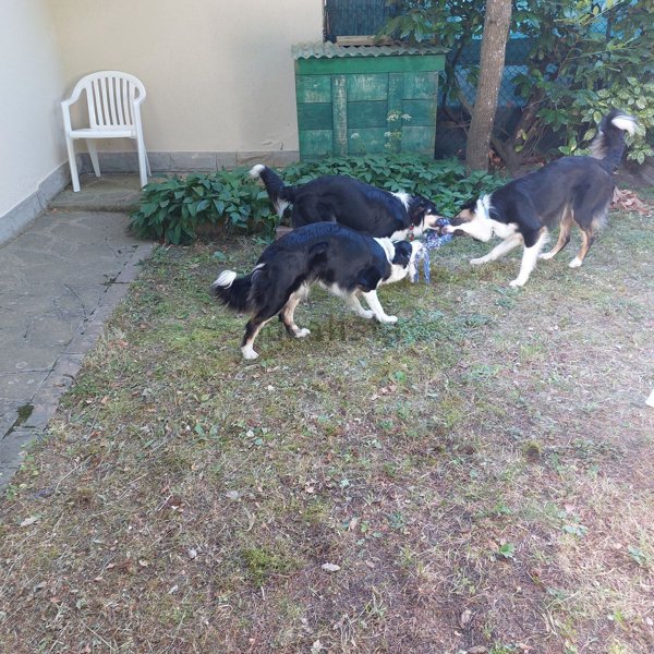 casa indipendente in vendita a Serramazzoni in zona Faeto