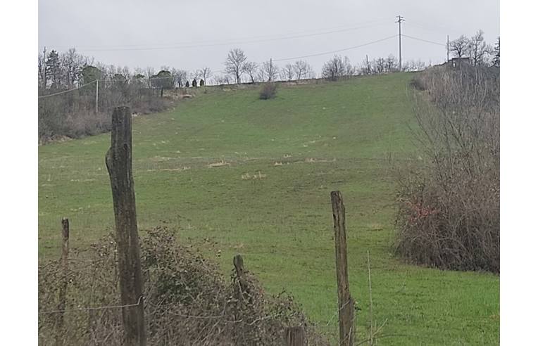 terreno agricolo in vendita a Serramazzoni in zona Riccò