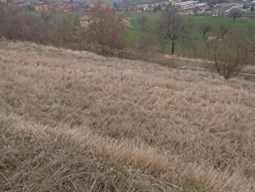 terreno agricolo in vendita a Serramazzoni