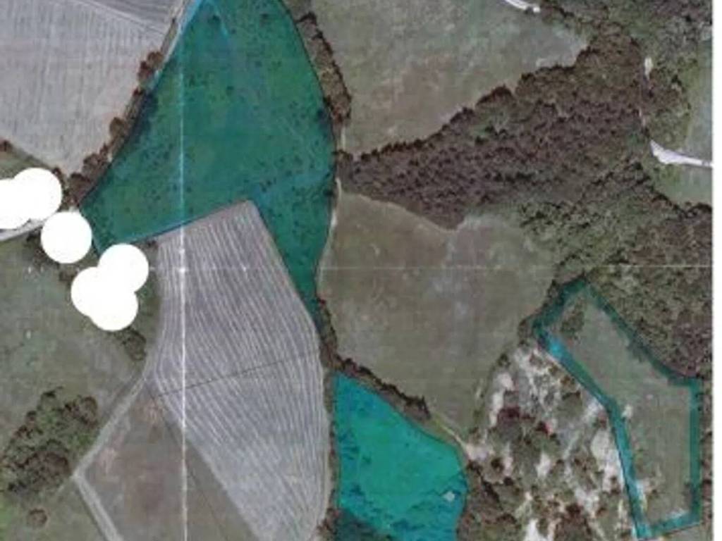 terreno agricolo in vendita a Serramazzoni