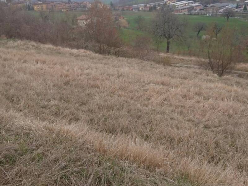 terreno agricolo in vendita a Serramazzoni in zona Ligorzano