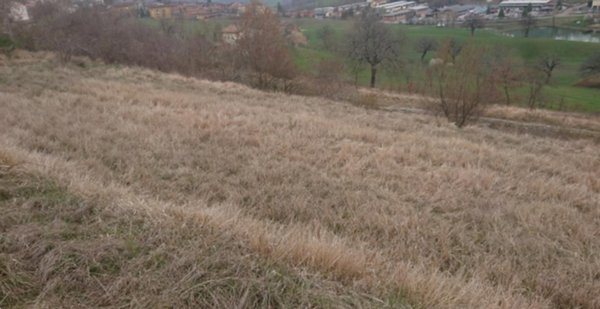 terreno agricolo in vendita a Serramazzoni in zona Ligorzano