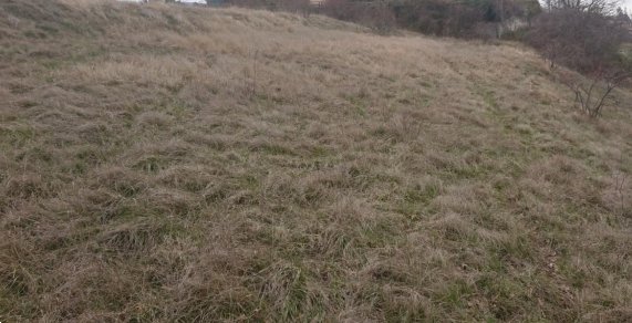 terreno agricolo in vendita a Serramazzoni in zona Ligorzano