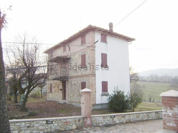 esavano in vendita a Serramazzoni in zona San Dalmazio