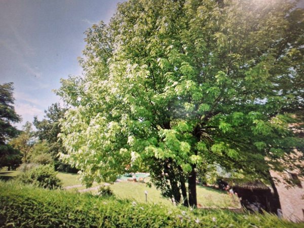 casale in vendita a Serramazzoni in zona Ligorzano