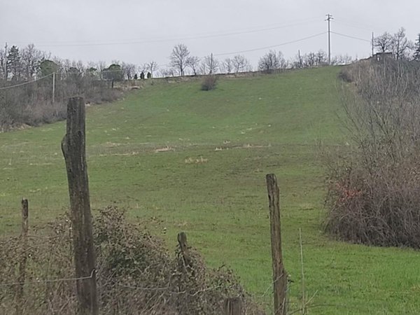 terreno in vendita a Serramazzoni in zona Riccò
