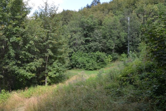 terreno edificabile in vendita a Sestola