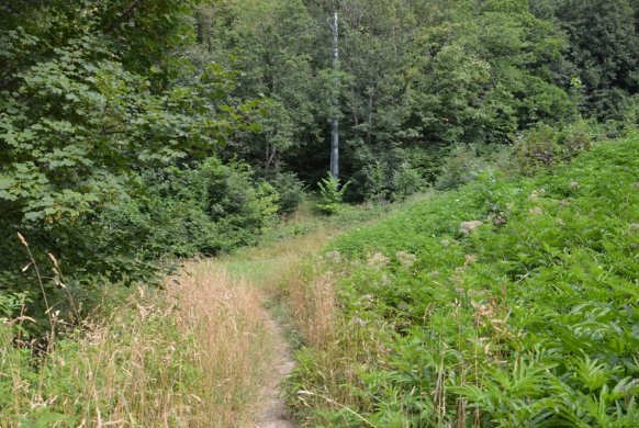 terreno edificabile in vendita a Sestola