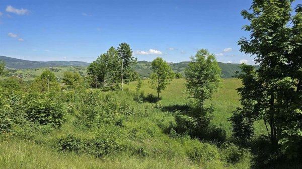 casa indipendente in vendita a Sestola