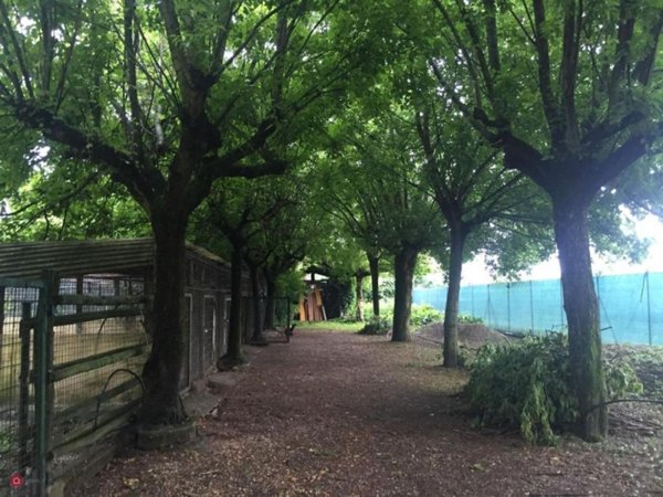 locale di sgombero in vendita a Soliera in zona Limidi