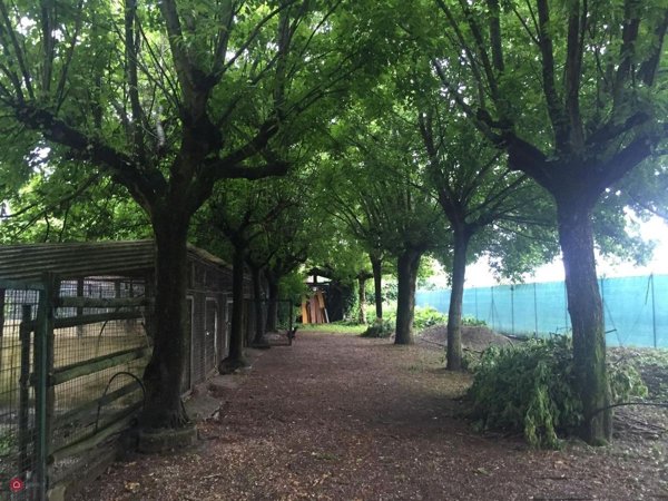 locale di sgombero in vendita a Soliera in zona Limidi