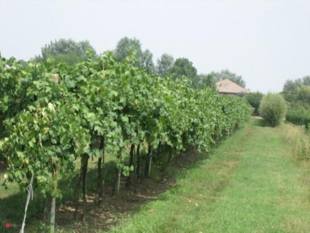 azienda agricola in vendita a Soliera in zona Limidi