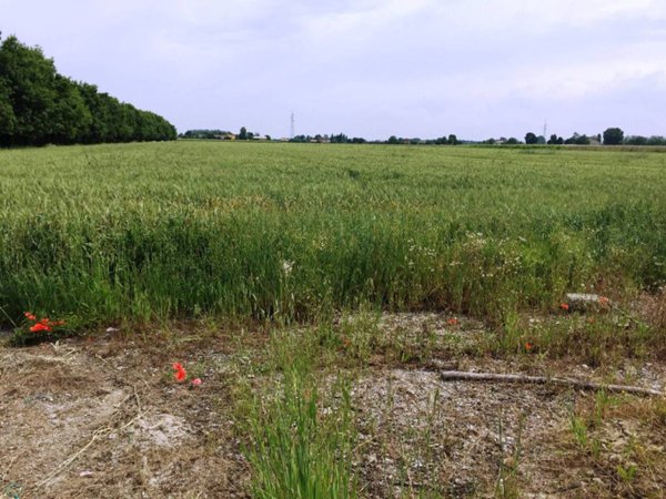 terreno agricolo in vendita a Soliera in zona Limidi