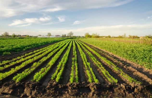 terreno agricolo in vendita a Soliera in zona Sozzigalli