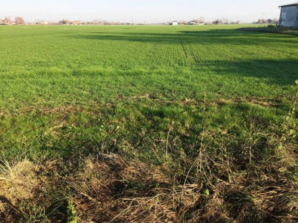 casa indipendente in vendita a Soliera in zona Limidi